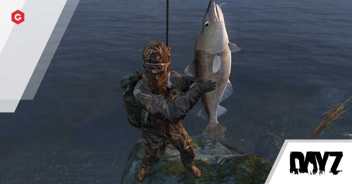 Guía de pesca de DayZ: cómo pescar con caña de pescar, anzuelo y cebo