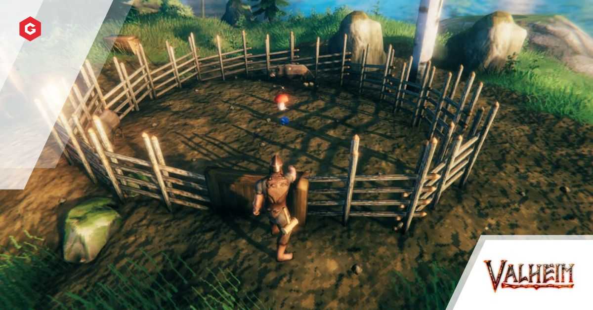 Valheim: Cómo domesticar jabalíes y criarlos