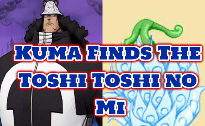 Kuma encuentra al Toshi Toshi no Mi