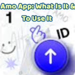Aplicación Id By Amo