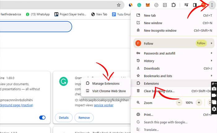 La extensión IDM no se muestra en Chrome