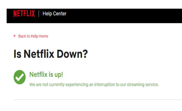 El sitio espejo de Netflix no funciona