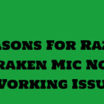 Razones por las que el micrófono Razer Kraken no funciona Problema 1