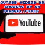 Reparar vídeos de YouTube que no se muestran en mi canal