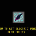 Electric Wing Blox Fruits