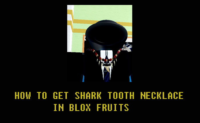 Shark Tooth Necklace Blox Fruits