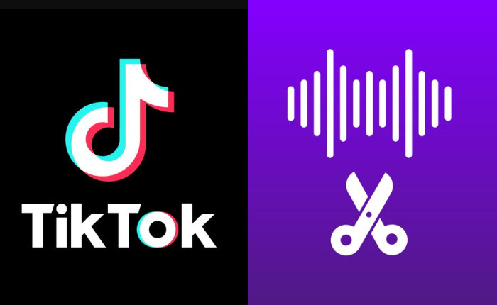 Sonido de recorte de TikTok