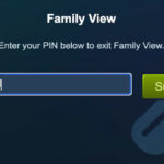 Steam Family View PIN Not Working