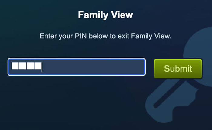 Steam Family View PIN Not Working
