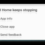 One UI Home Keeps Stopping