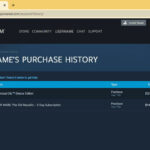 Steam Purchase Not Showing in Library