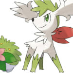 shaymin