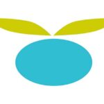 How To Fix Huckleberry App Not Working