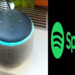 How To Fix Alexa Not Showing on Spotify