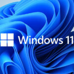 ventanas 11