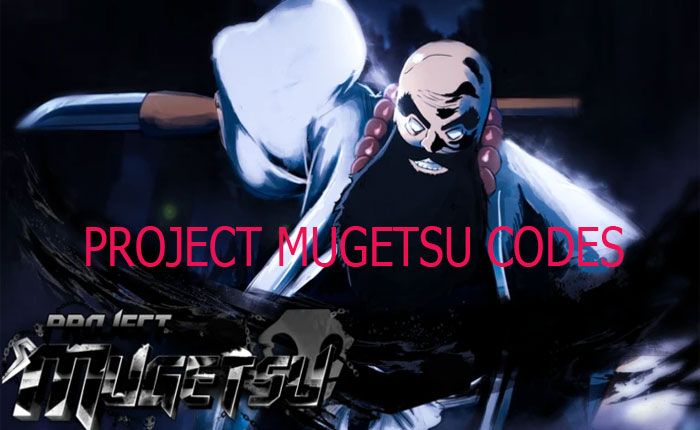 Project Mugetsu Codes