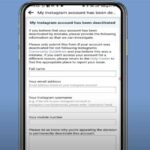 Cómo solucionarlo: enviaste una apelación en Instagram