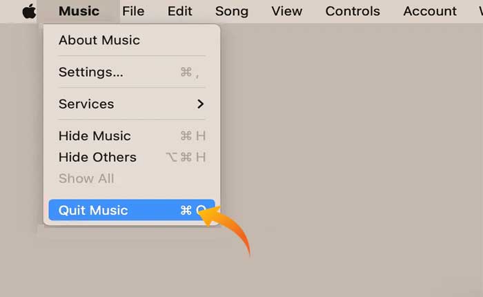 Las letras de Apple Music no se muestran