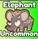 Elephant Uncommon