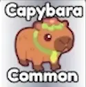 Capybara Common
