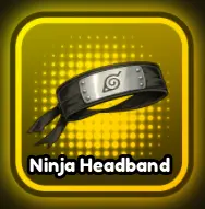 Ninja Headband
