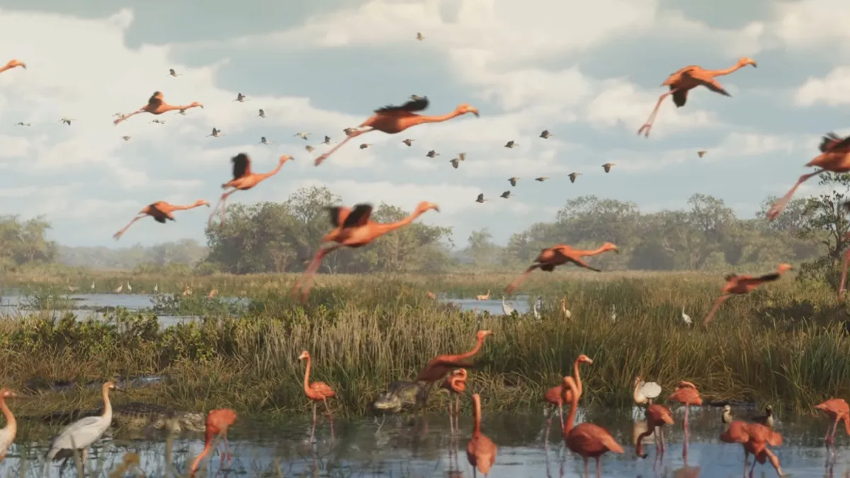 GTA 6 Flamingo