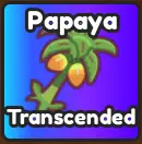 Papaya