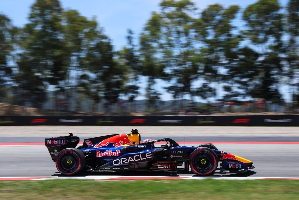 Max Verstappen (Red Bull Racing)