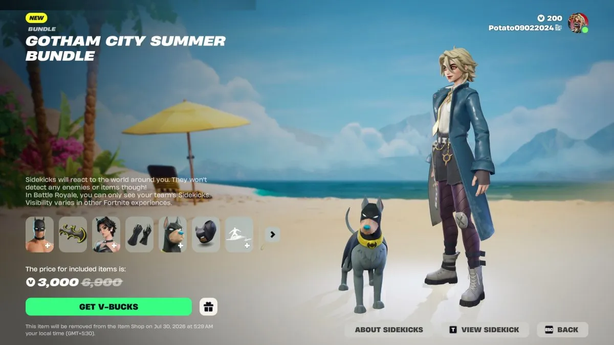 Ace el Perro de Bat en el Gatón de la Ciudad de Gotham del Bundle de Verano