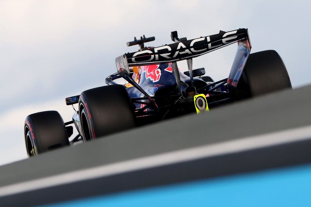 Max Verstappen (Red Bull)